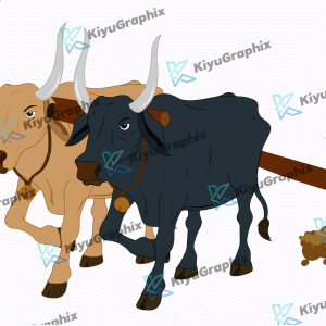 Indian Bull Plow with Animation