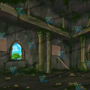 Khandhar Interior Fort Background