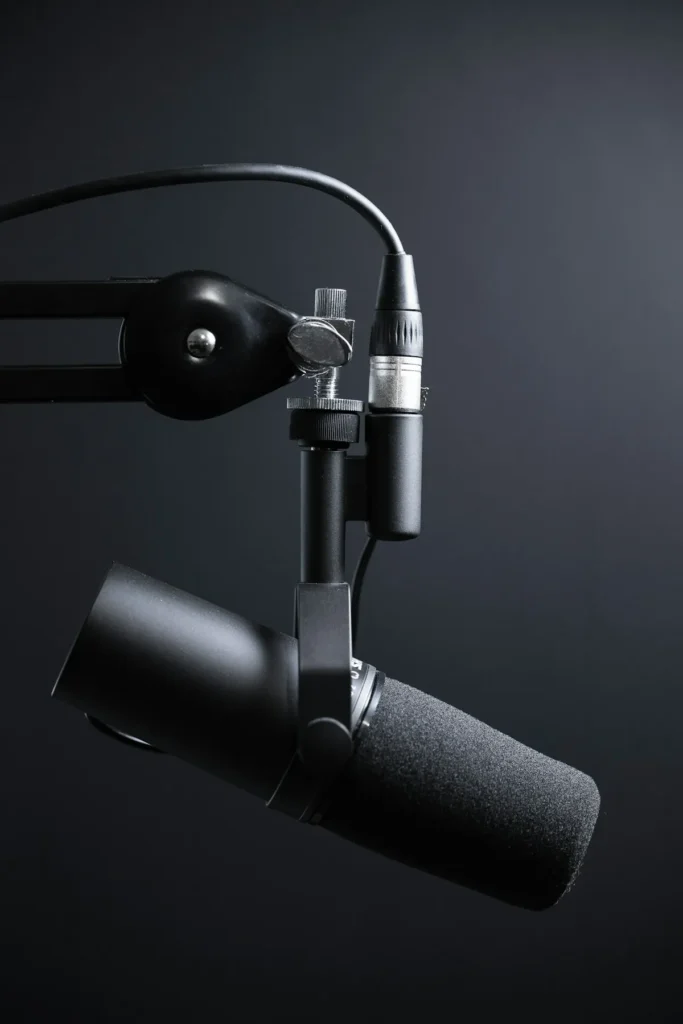 Voice Artist