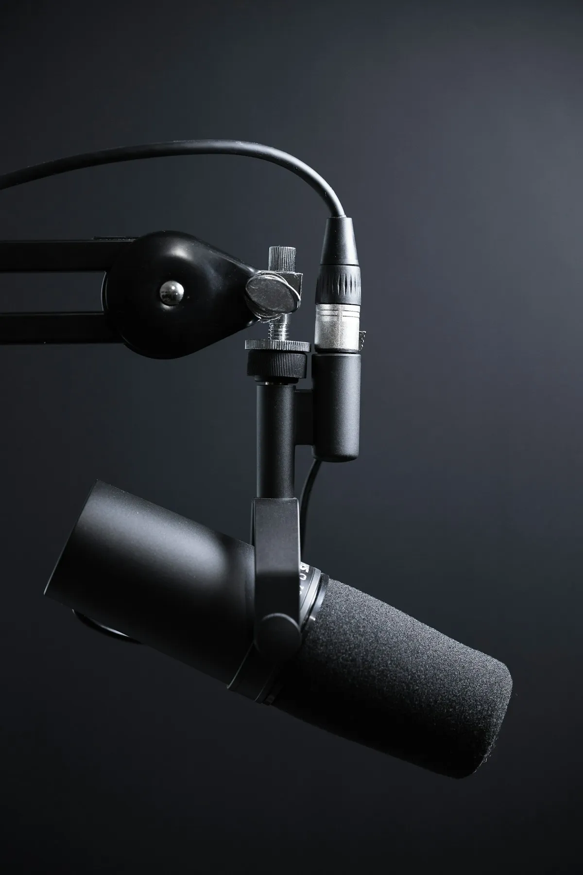 Voice Artist